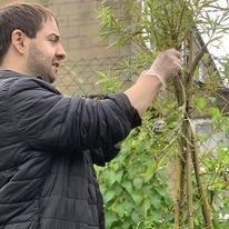 September to November 2024 in The Buzz Community Garden