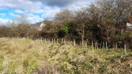 Spring Work Begins at Lockleaze Sports Centre